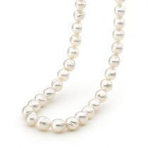 Strand of white south sea pearls